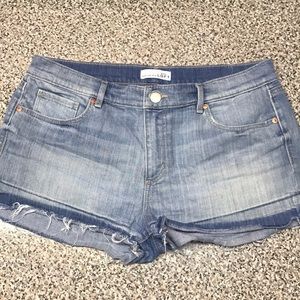 Loft Denim Shorts